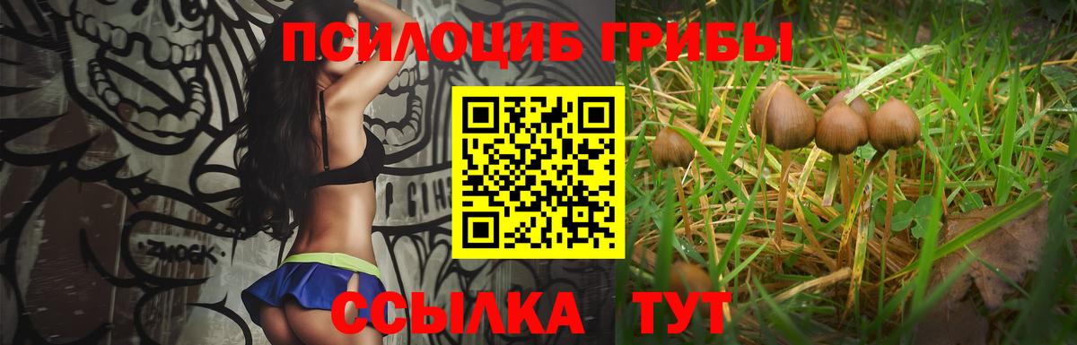 Урюпинск  Псилоцибиновые грибы мицелий  Вход с VPN  Псилоцибиновые грибы MAGIC MUSHROOMS 